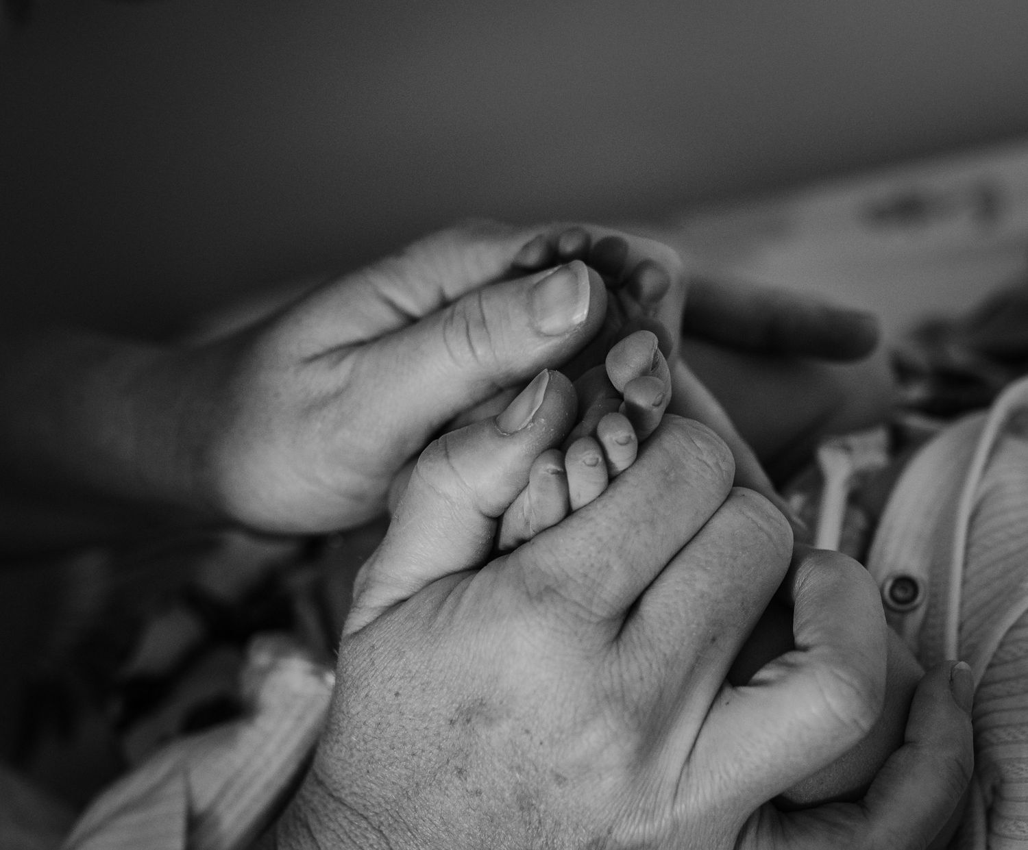 Black and white image of hands gently cradling a newborn.