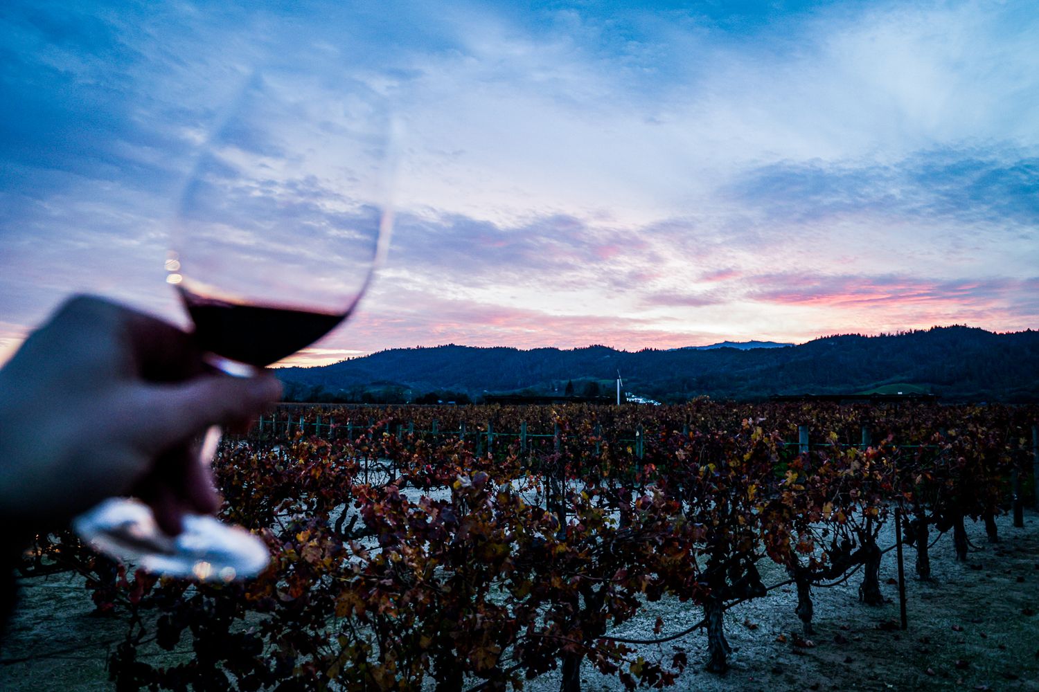 A glass of red wine held up against a sunset view over vineyard rows in wine country at dusk.