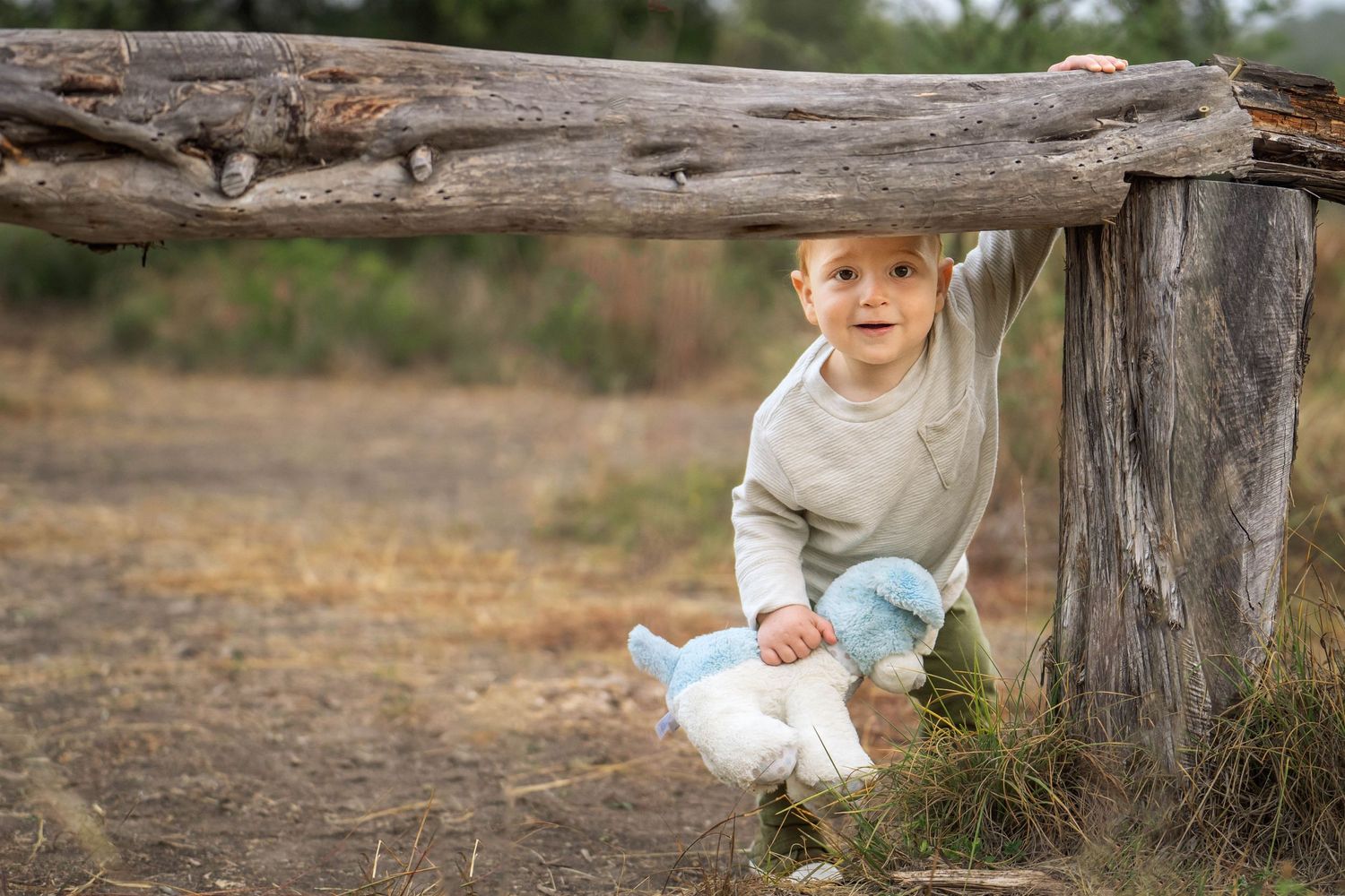 toddler holding blue stuffed doggy looking under a wooden fence