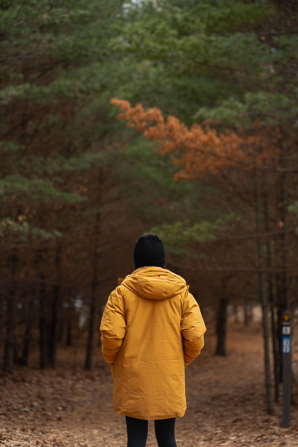 Askov Finlayson Yutshua Lee