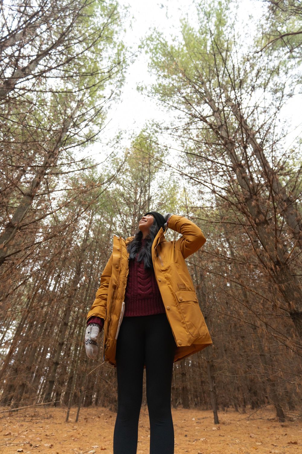 Askov Finlayson Yutshua Lee