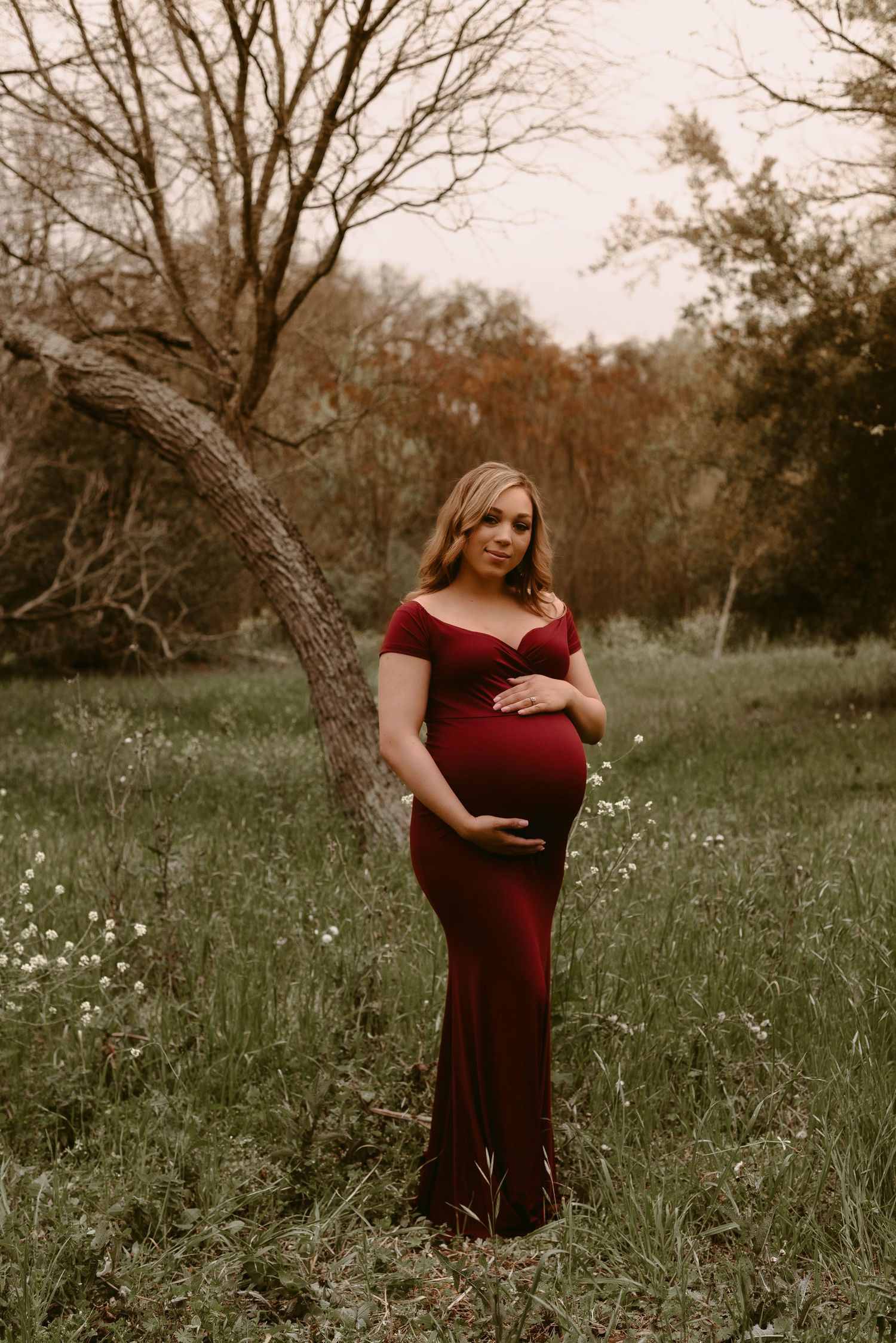 Dramatic maternity portrait in burgundy dress beneath curved tree branch at golden hour.