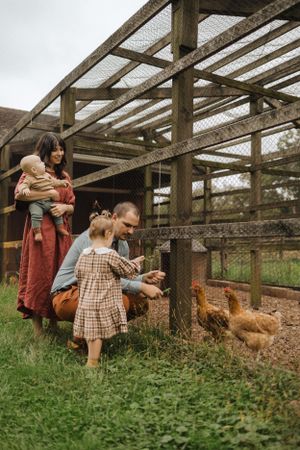 Family spending time with chickens at a wooden coop in their backyard.