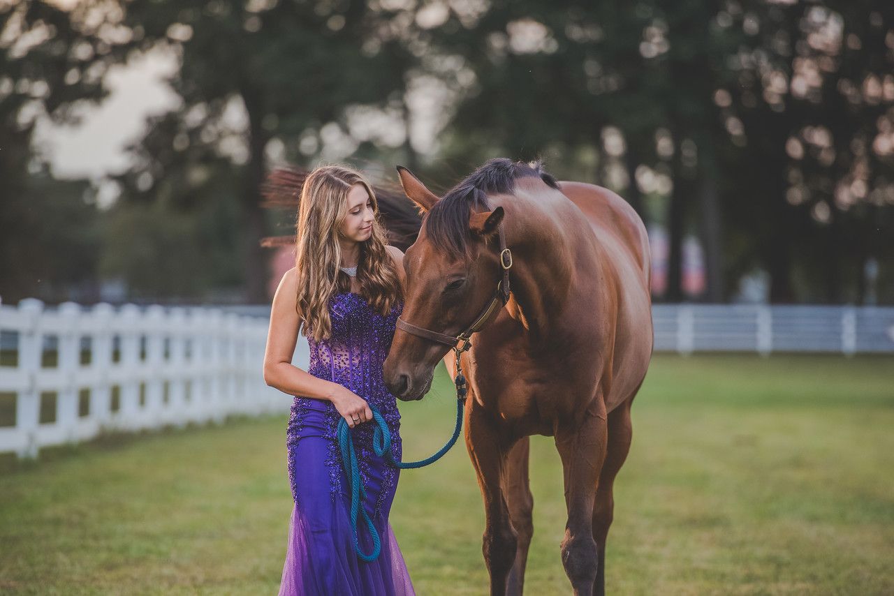 girl in purple dress with brown horse