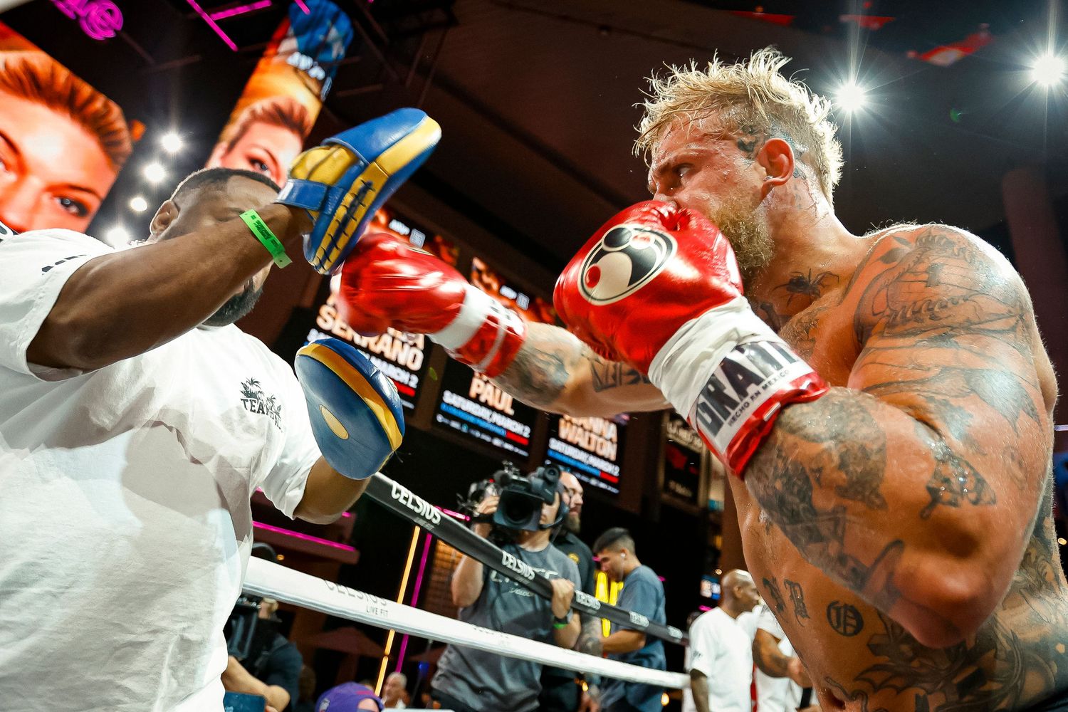 Jake "El Gallo de Dorado" Paul attended the MVP Open Workouts.