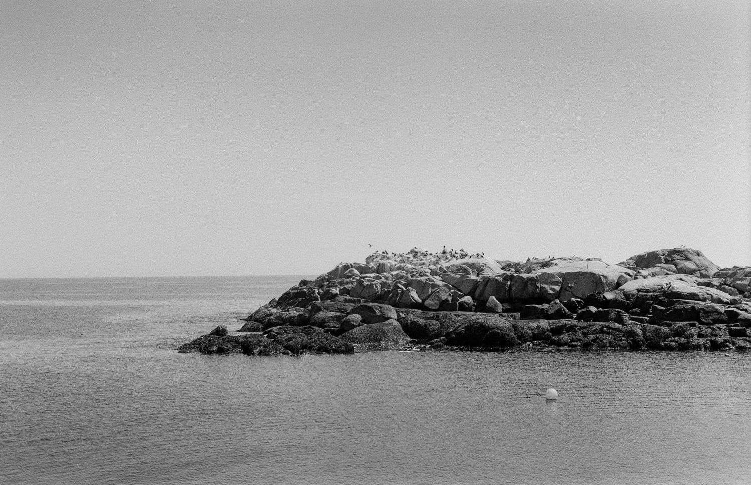 Film