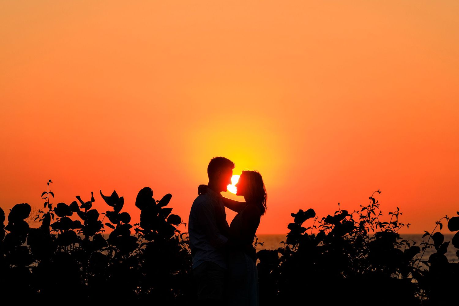 Silhouette of two figures embracing against a vibrant orange sunset with foliage in the foreground.