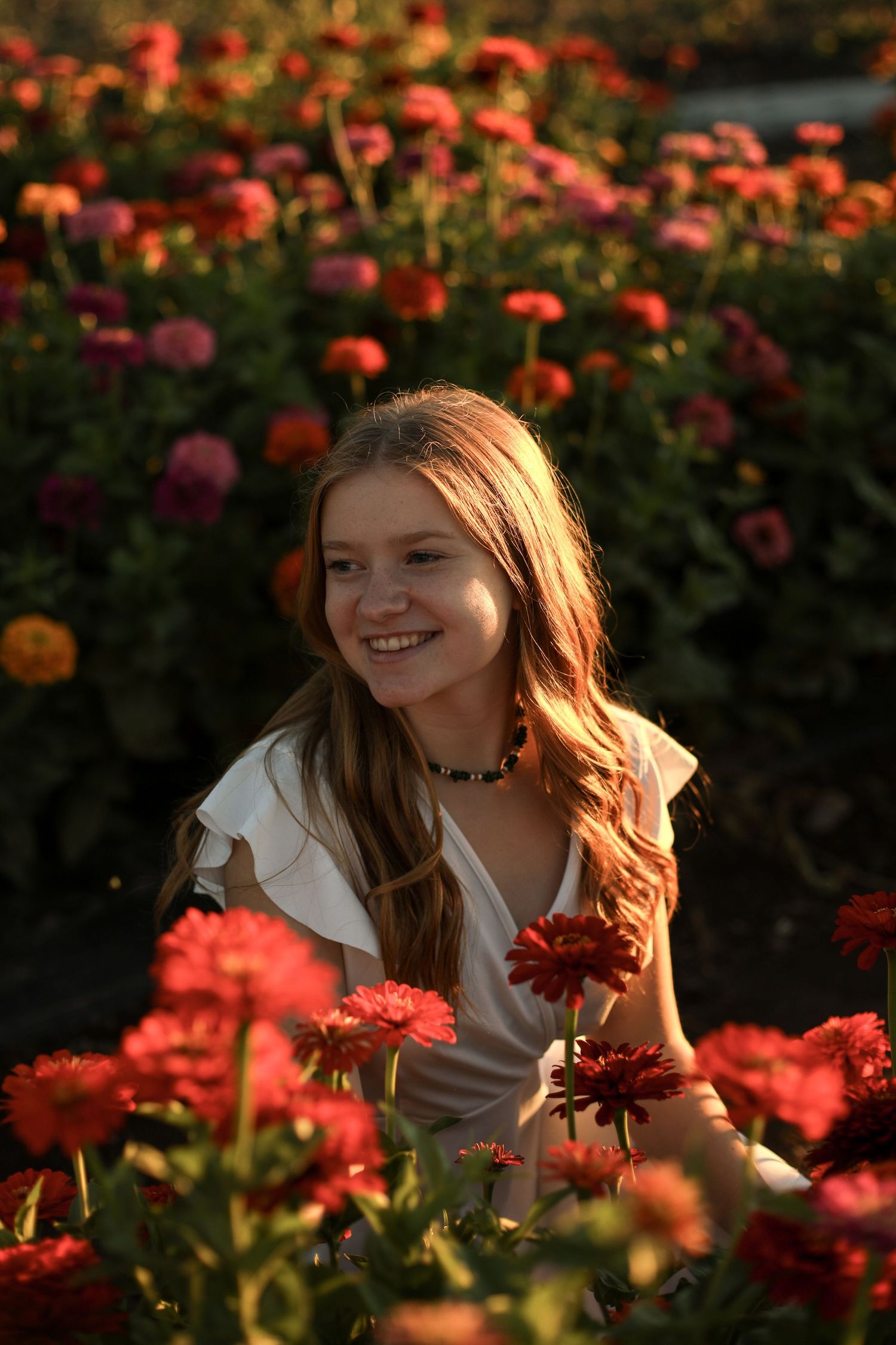 Person sitting in a garden of vibrant red and orange flowers at sunset.