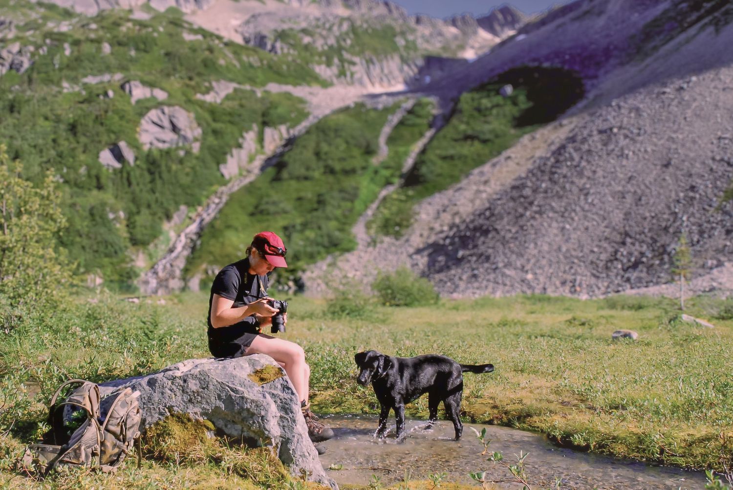 Hikers and dogs explore a scenic mountain trail with rocky terrain and green vegetation.