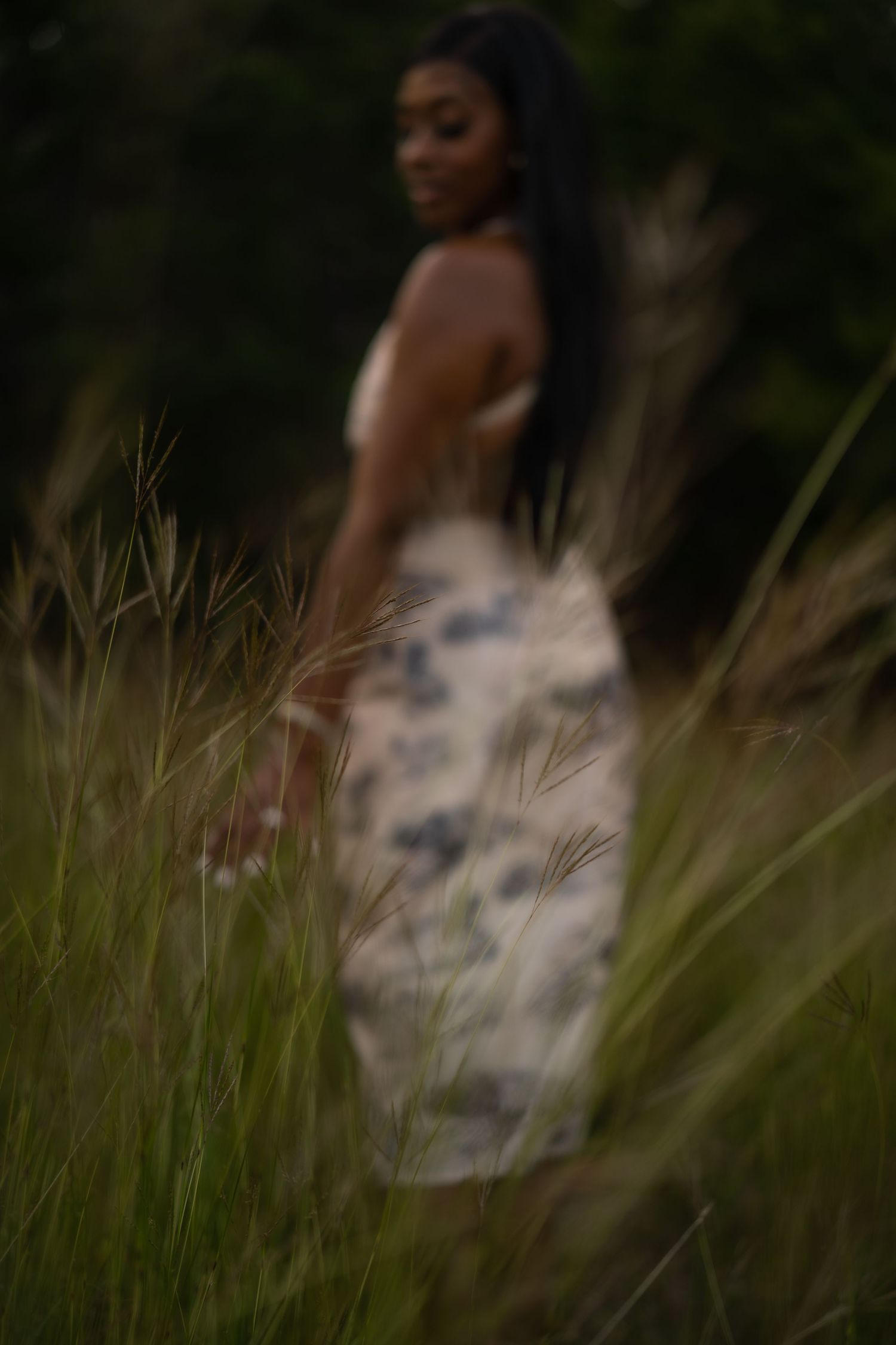 Sanetra Longno photo of Jewel in a tall grass field touching the grass. Image out of focus.