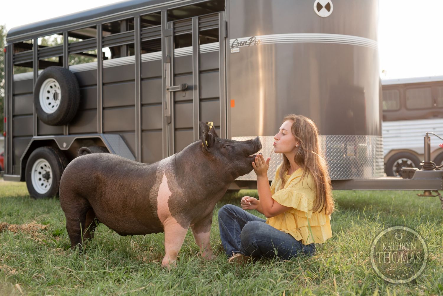 A show pig interacts with its handler next to a large livestock trailer at sunset.