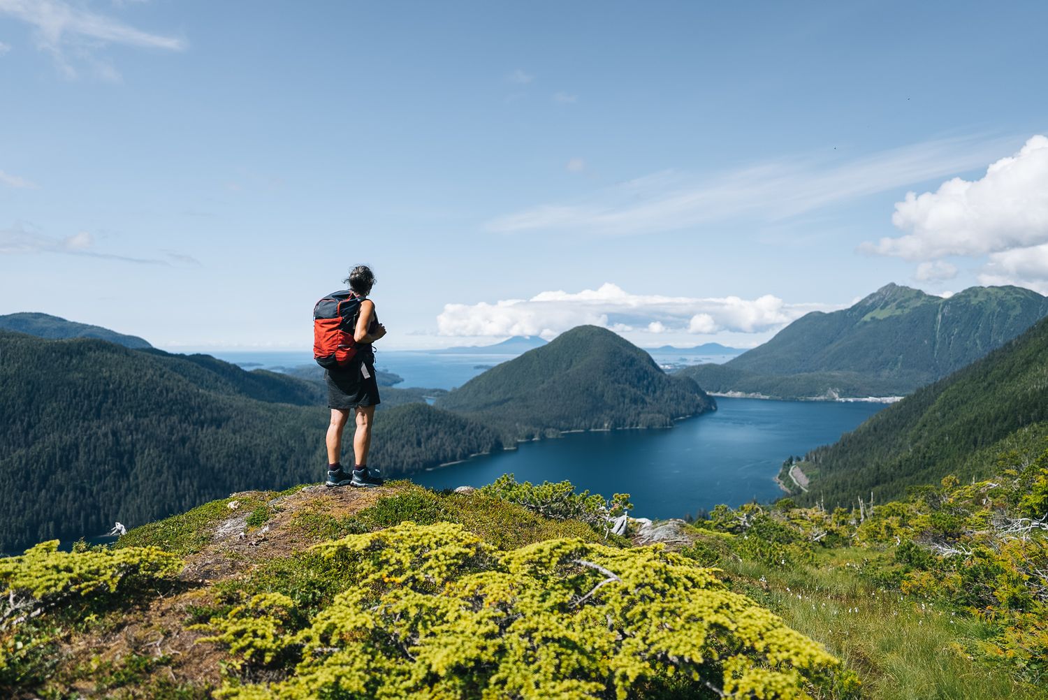 Hiker stands atop mountain peak overlooking blue fjord lake surrounded by forested mountains on sunny day.