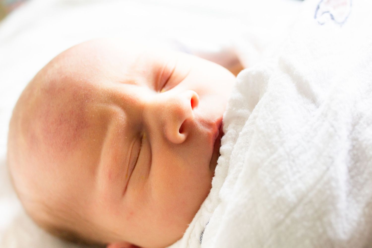 newborn