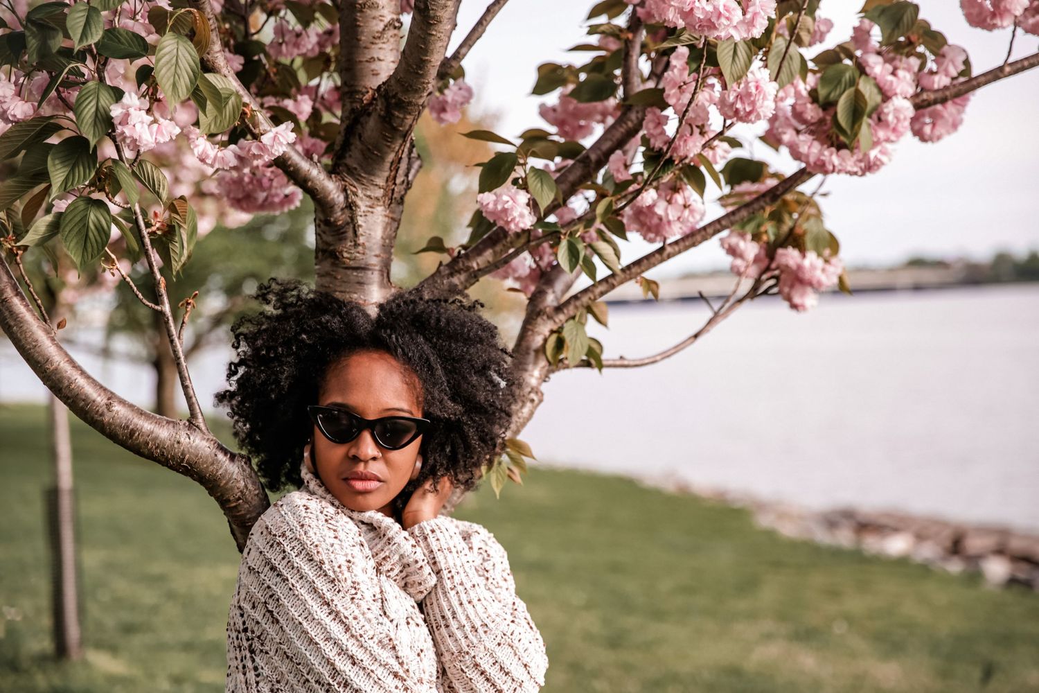 Young woman in cozy knit sweater and sunglasses posing near pink cherry blossom tree by water.