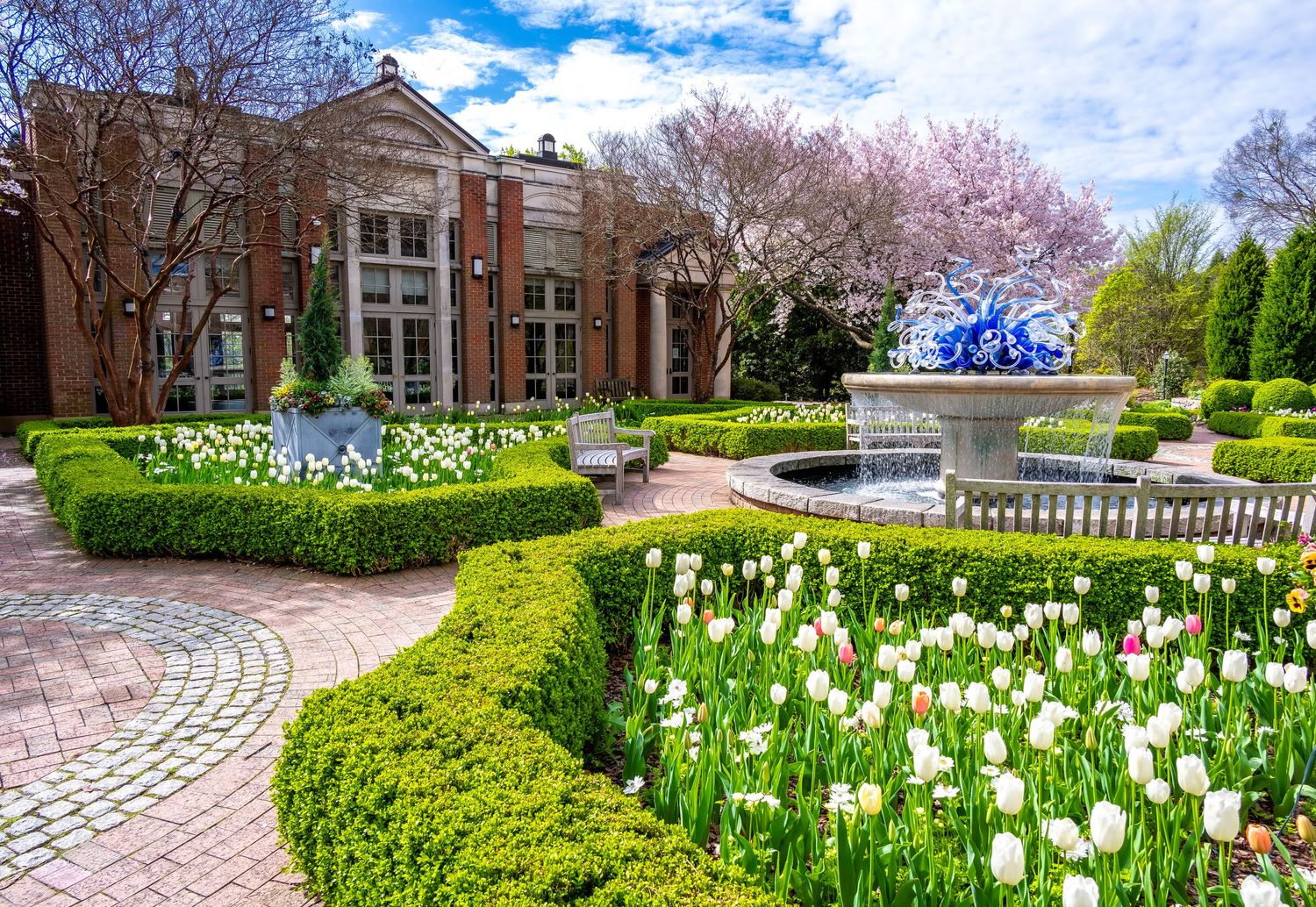 Classic brick building with white columns surrounded by spring tulips and cherry blossoms.