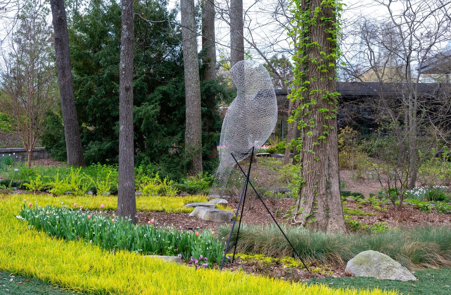 Yellow flowers line a woodland garden path with trees and natural stone features.