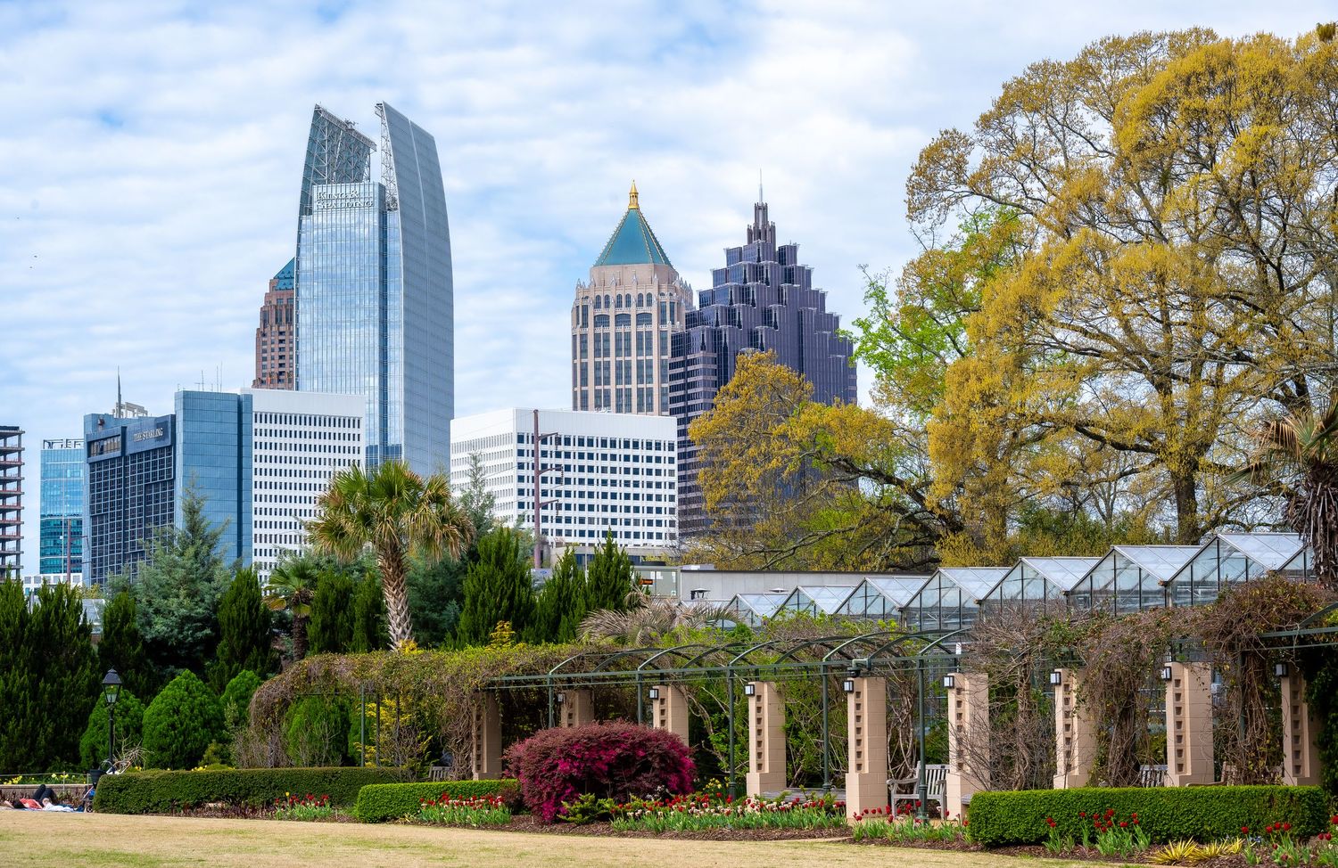 Atlanta cityscape with historic colonnade and fall foliage in foreground.