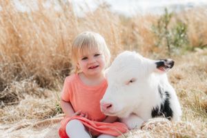 White calf with black spots poses next to someone in coral shirt in golden field.