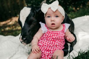 A baby in red gingham outfit sits near a black and white calf on a white blanket outdoors.