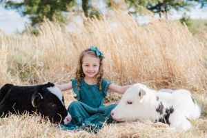 Black and white calves resting on ground while someone in teal dress sits between them.