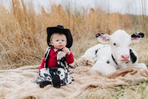 A baby in a cowboy hat sits beside a friendly spotted calf on a brown blanket.