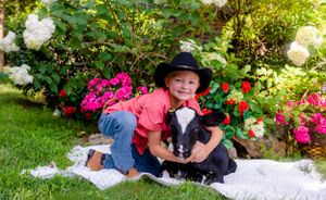 A young child and a black and white calf sit together on a blanket surrounded by vibrant pink flowers in a garden.