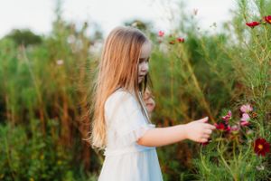Young long-haired child in white dress picking flowers in a wildflower meadow at sunset.