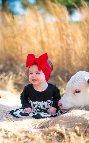 A joyful moment captured between a baby in a red bow and a curious white calf in golden sunlight.