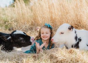 Two calves, one black and one white, laying in golden grass field during sunset.