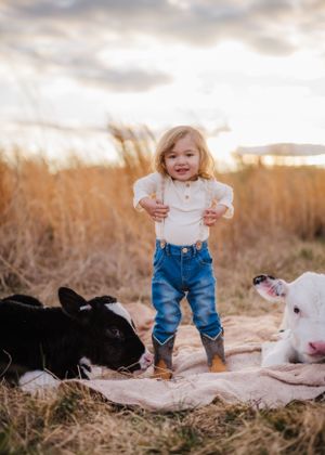 Black and white calves rest on blanket in golden field during sunset photoshoot.