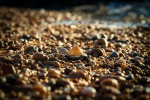 landscape photographer in Murfreesboro, tn.  real estate, drone pilot