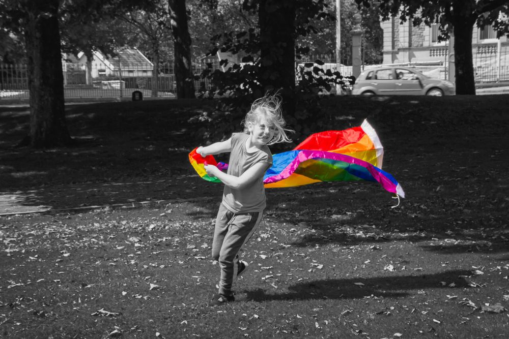 A colorful rainbow flag flowing in the wind across black and white park scenery.