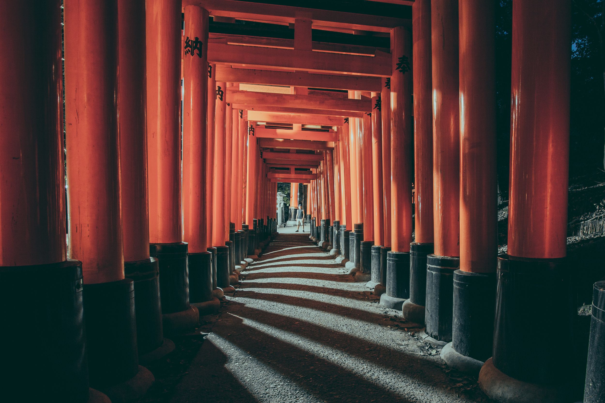 Thousand Torii gates in Fushimi Inari, Kyoto, Japan.