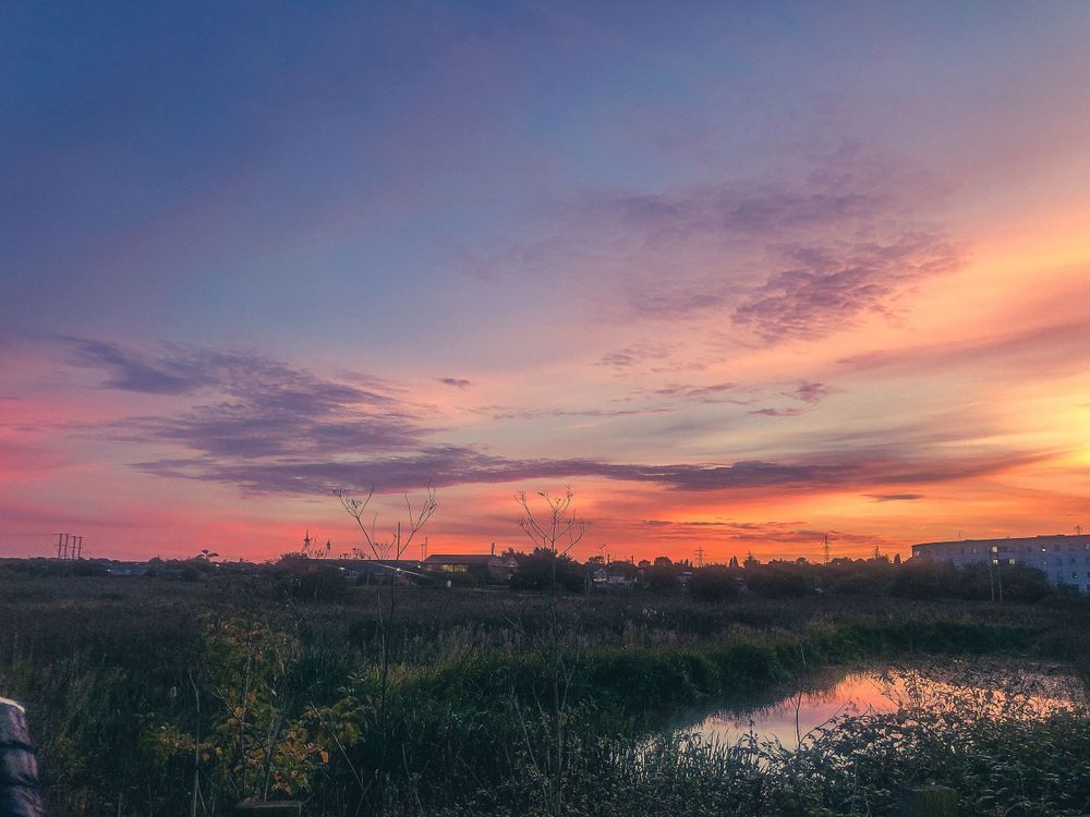 Vibrant sunset over wetlands with colorful clouds reflecting in still water.