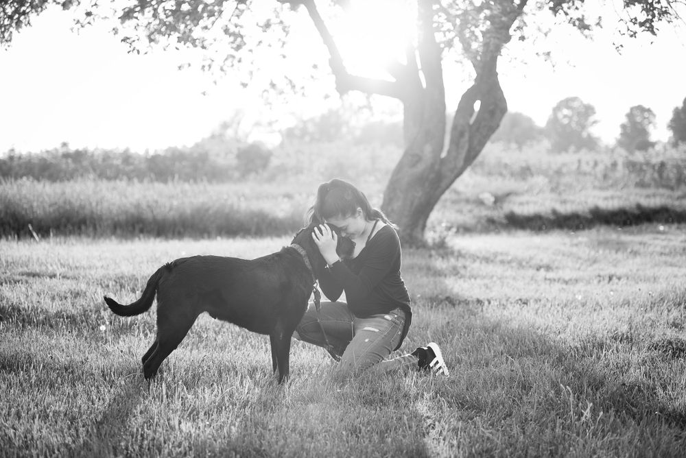 Buffalo & WNY family photography, Buffalo family photographers, WNY family portraits, Buffalo pet sessions