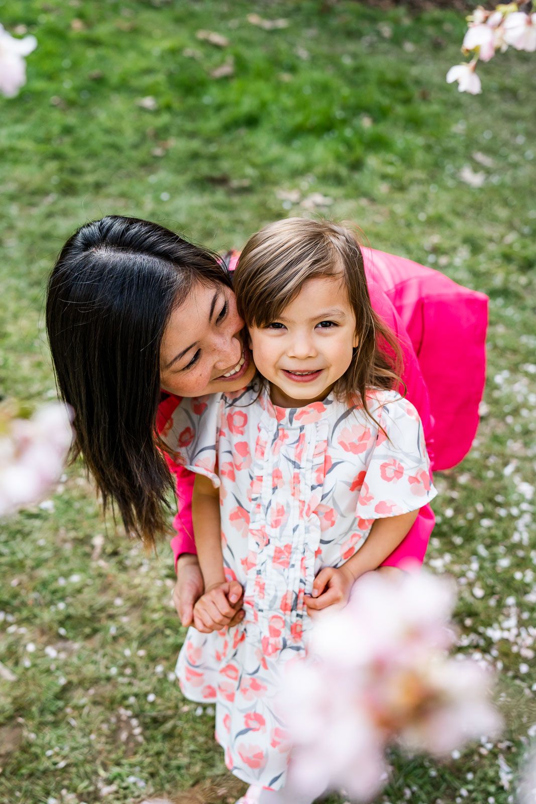 Seattle family photographer documents mother daughter cuddle while being framed by cherry blossoms