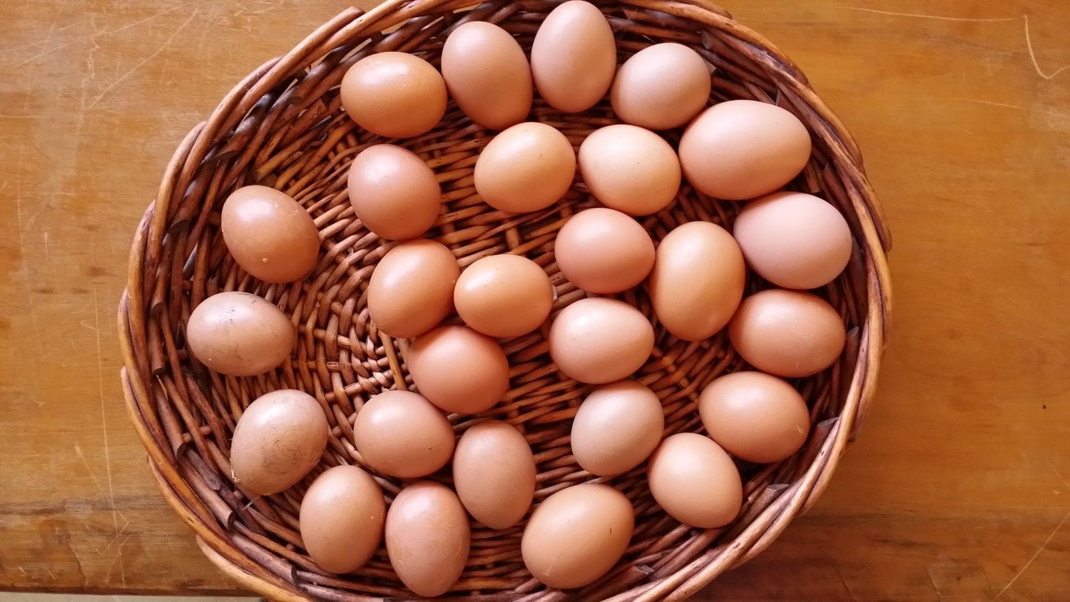 Nutrient Dense Kitchen 101 Rooted Resilience