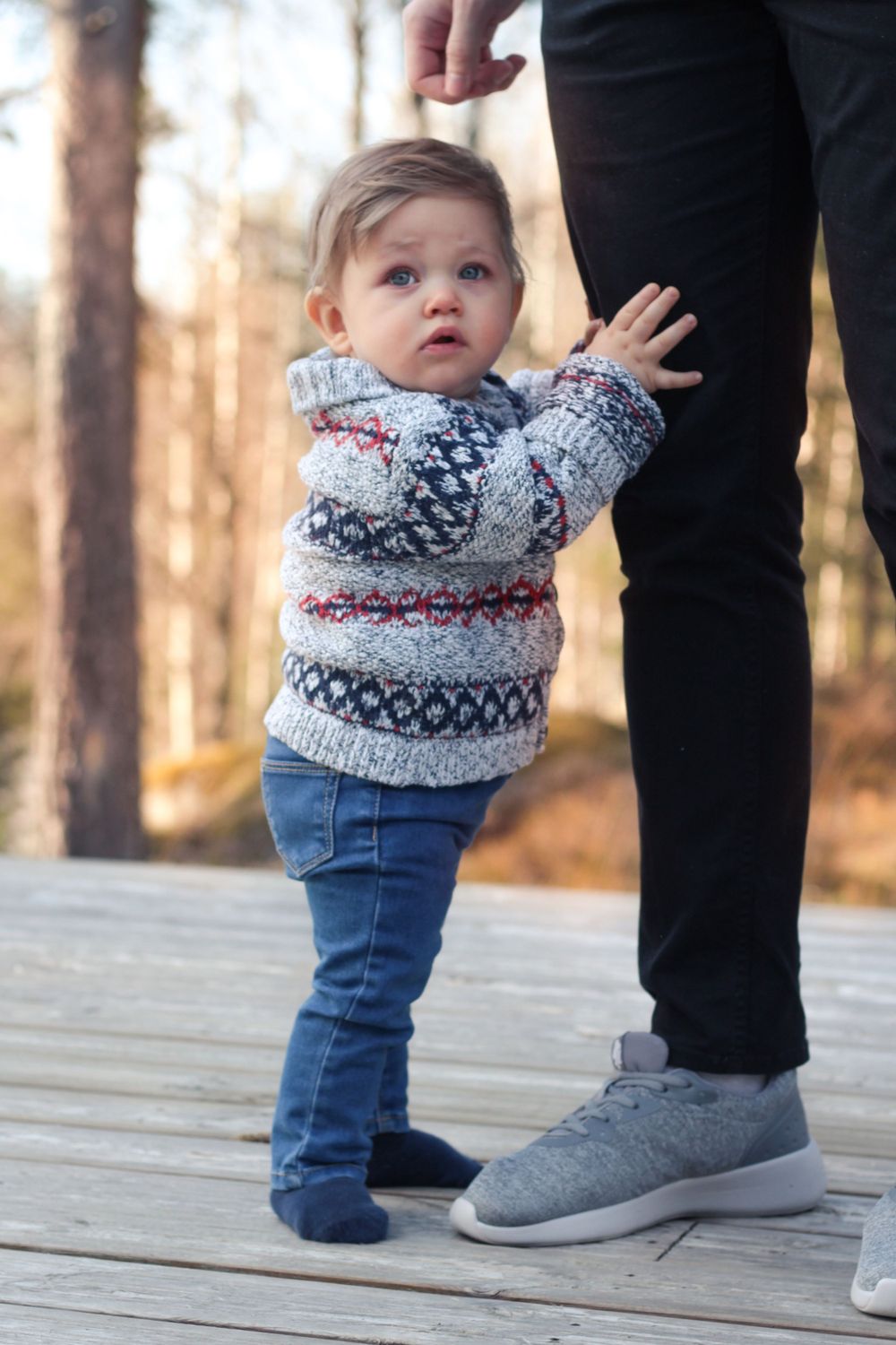 one year old photoshoot
