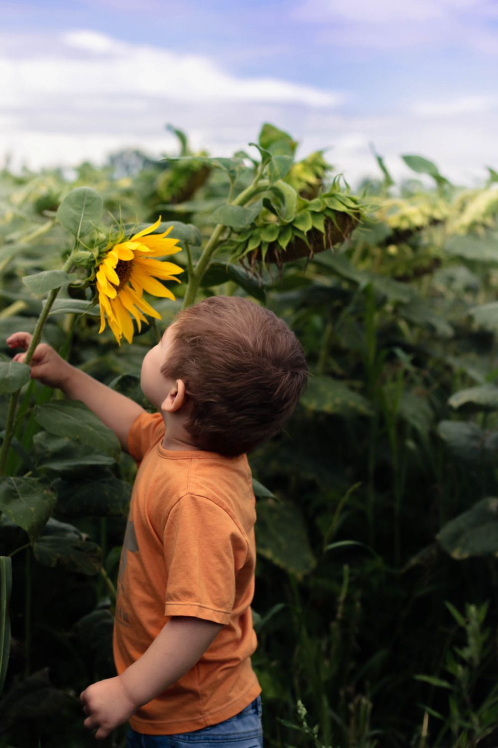 summer photoshoot for children