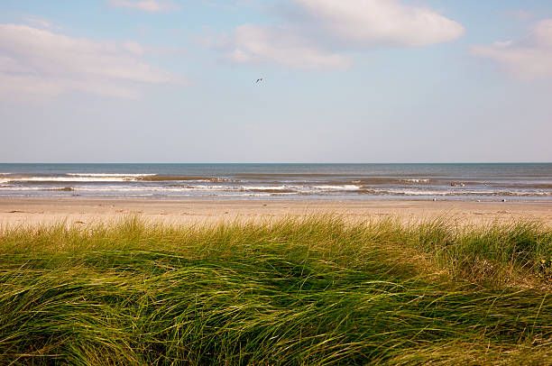 Coastline