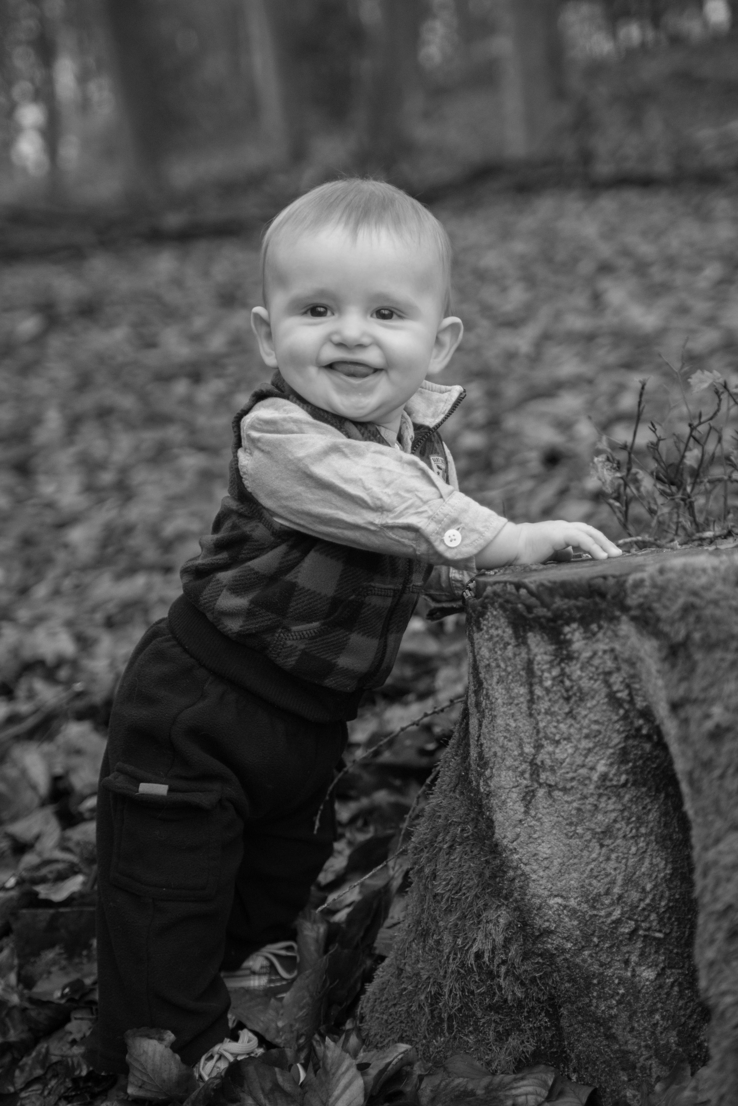 Papillion, Nebraska | Milestone Photography