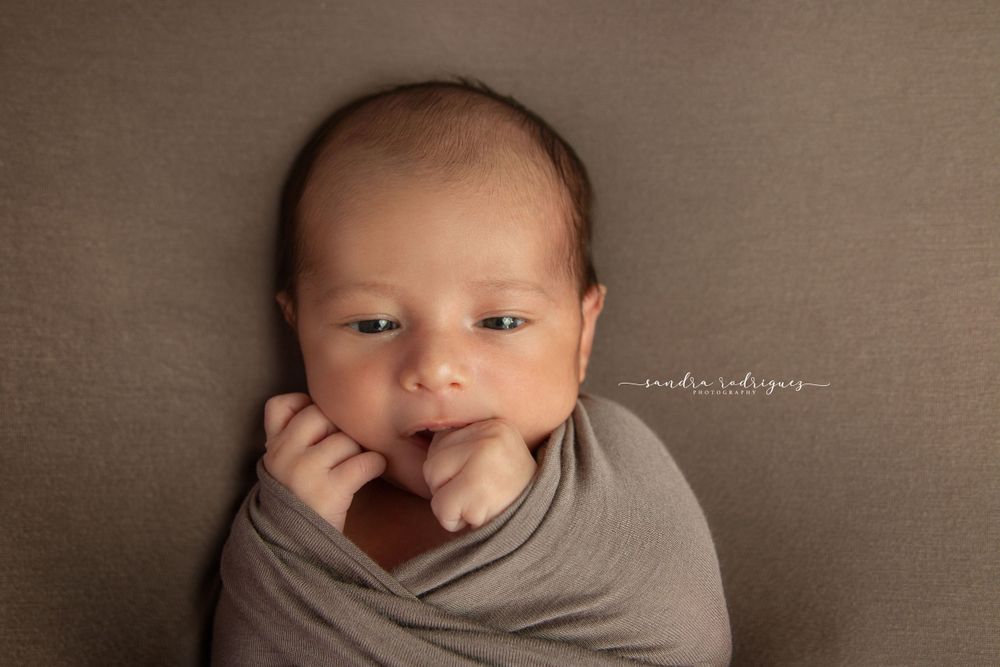 Chicago family photographer Newborn photographer  chicago newborn Photographer