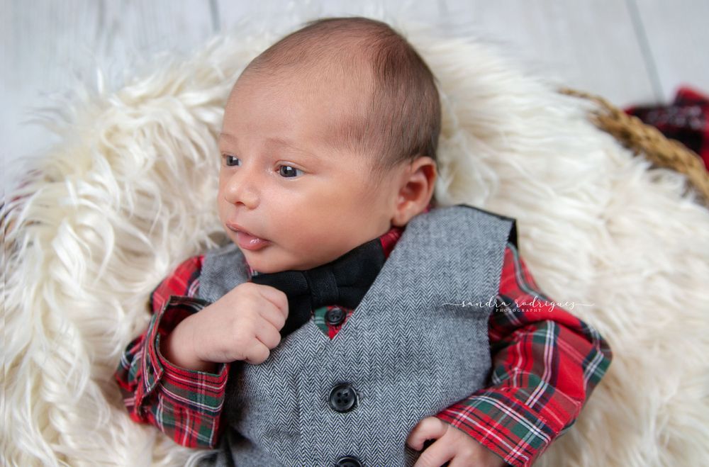 Chicago family photographer Newborn photographer  chicago newborn Photographer