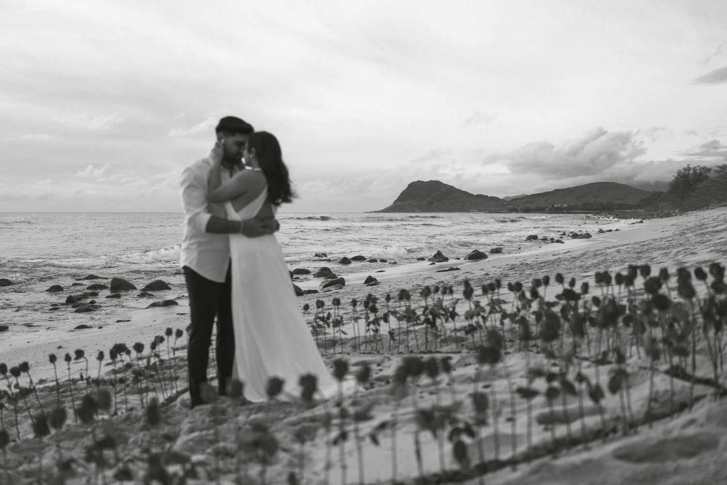 <img src="hawaii_proposal_couples_photoshoot.jpg" alt="Hawaii Proposal Couples Photoshoot: Capture the magical moment.">