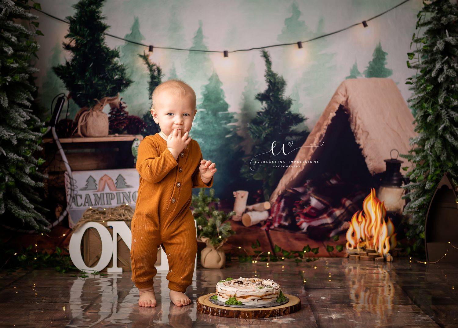 Binghamton, New York Cake Smash First Birthday Studio Photographer