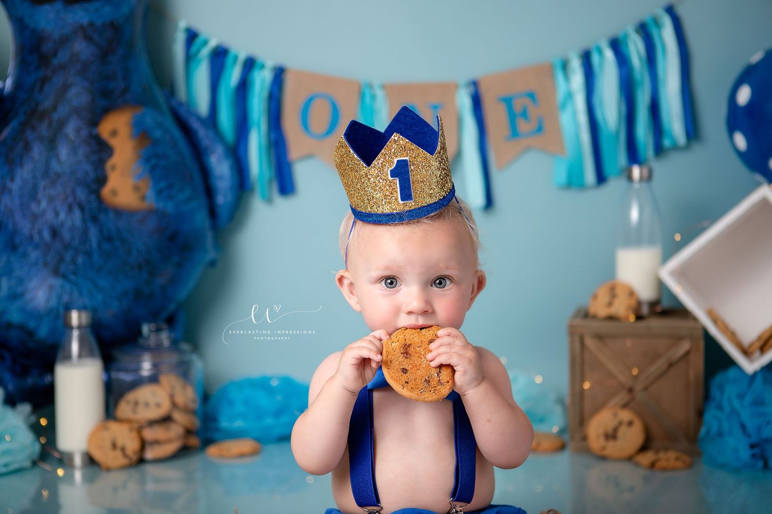 Binghamton, New York Cake Smash First Birthday Studio Photographer