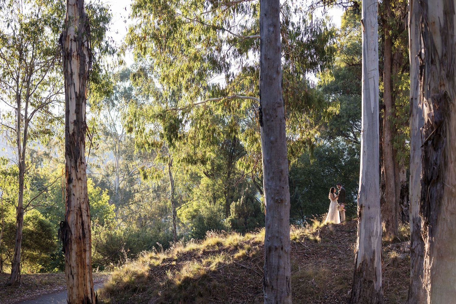Albury Wedding Photographer, Canberra Wedding Photographer, Alpine Weddings, Winery Weddings, Harrietville Wedding