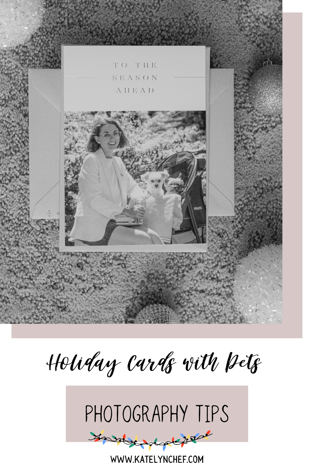 Pets Christmas Photo Tips
