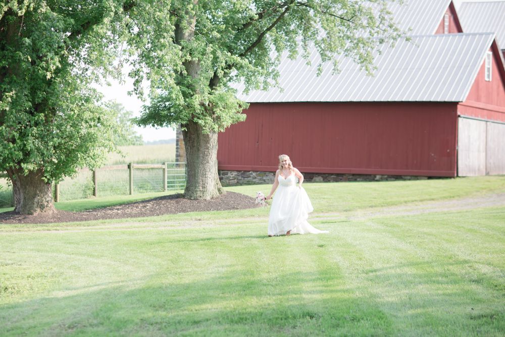 White wedding dress flowing across green lawn with red barn and large tree in background.