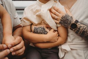 Close-up shot of hands holding small grey kittens.